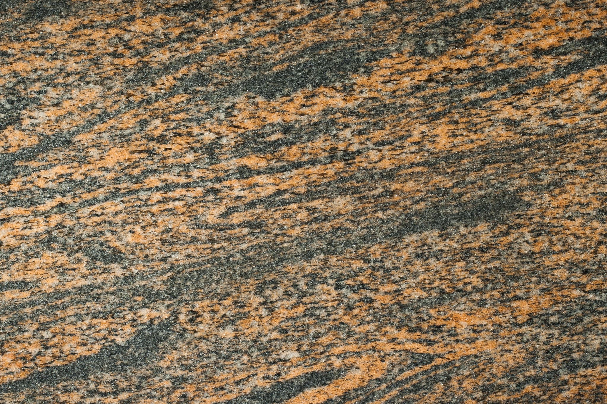 Kuru Grey