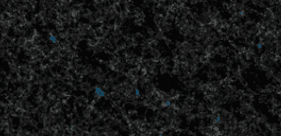 Blue in the Night – próbka Poler