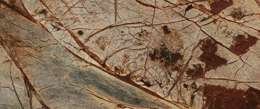 marmury Rainforest Brown