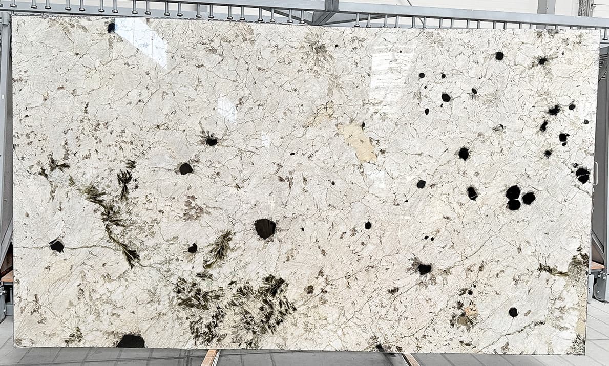 Alpinus White – płyta