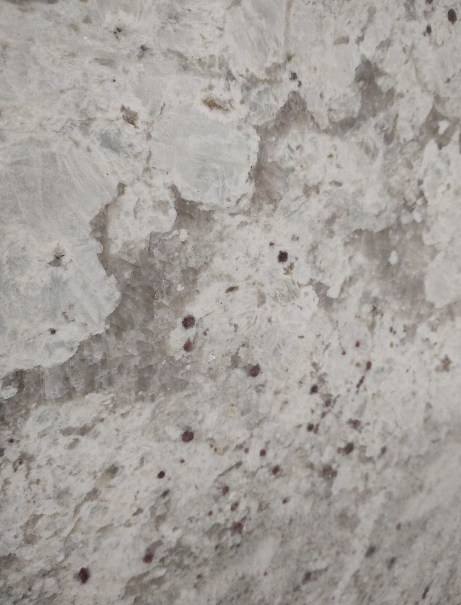 Colonial White – próbka Poler