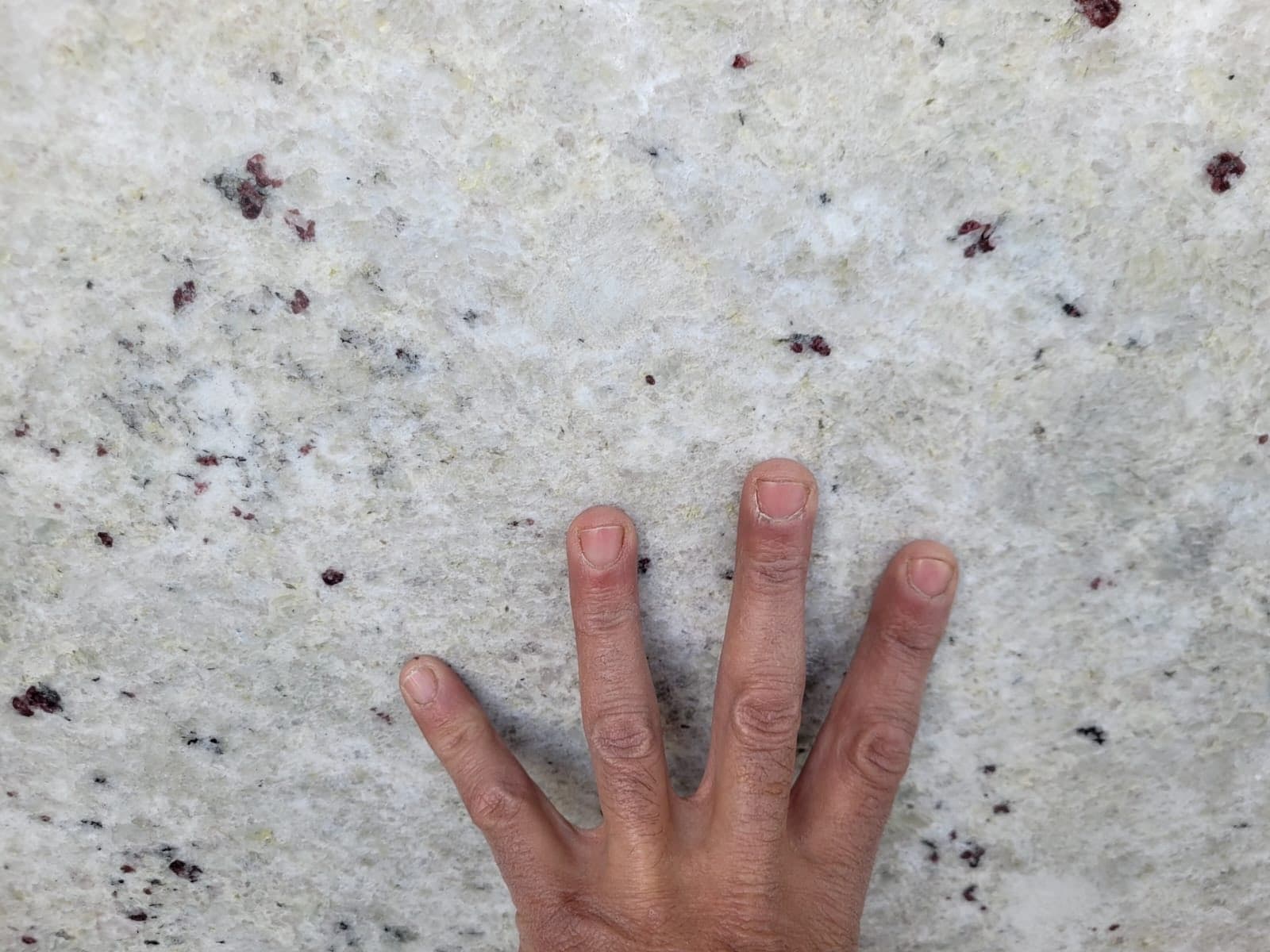 Colonial White – próbka Poler