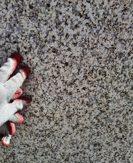 Amarillo San Martinho – próbka Poler